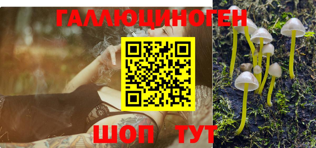 Усинск  Галлюциногенные грибы Cubensis  Вход с VPN  Псилоцибиновые грибы Cubensis 